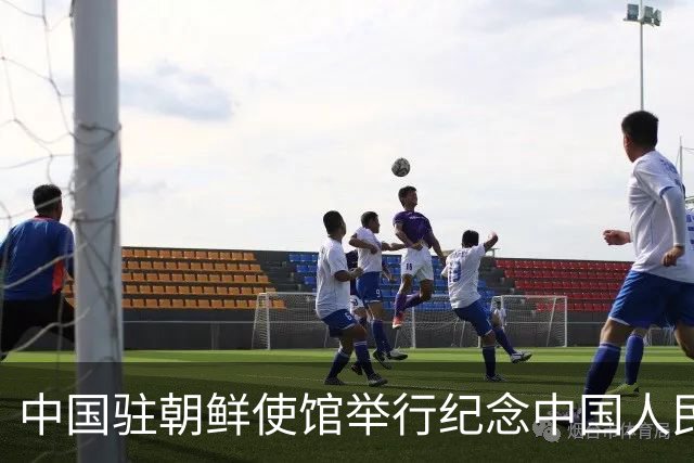 中国驻朝鲜使馆举行纪念中国人民志愿军抗美援朝出国作战76周年活动