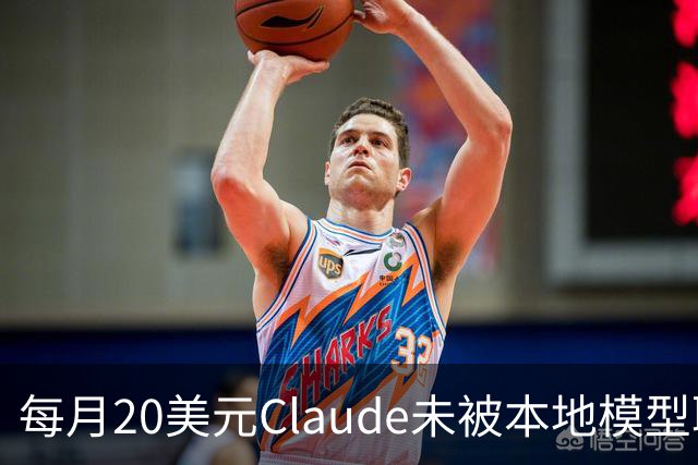 每月20美元Claude未被本地模型取代，被取代的是不敢上云的事